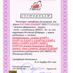 Дилерский сертификат ВИНГС-М